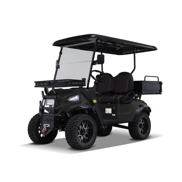 KANDI Ranch 2 Seat Electric Golf Cart - Image 2