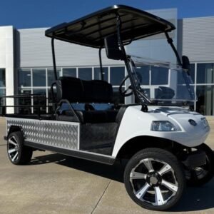 2025 Evolution Electric Vehicles Turfman 1000
